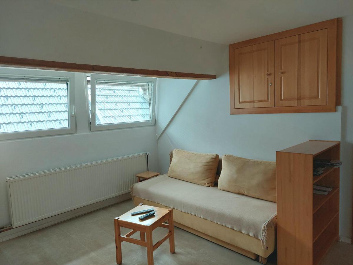 Apartments Susnik Бохинь Экстерьер фото
